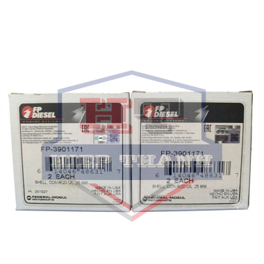 Bạc lót tay biên 010 (FP 3901171)